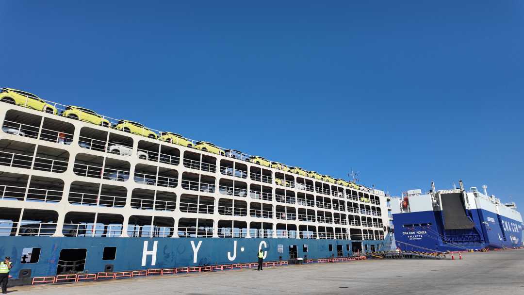 在外高桥看港通天下船行深海丨活力中国调研行