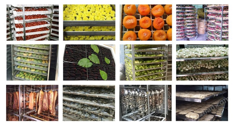 “执行110+警民协作”成功执结案例+2